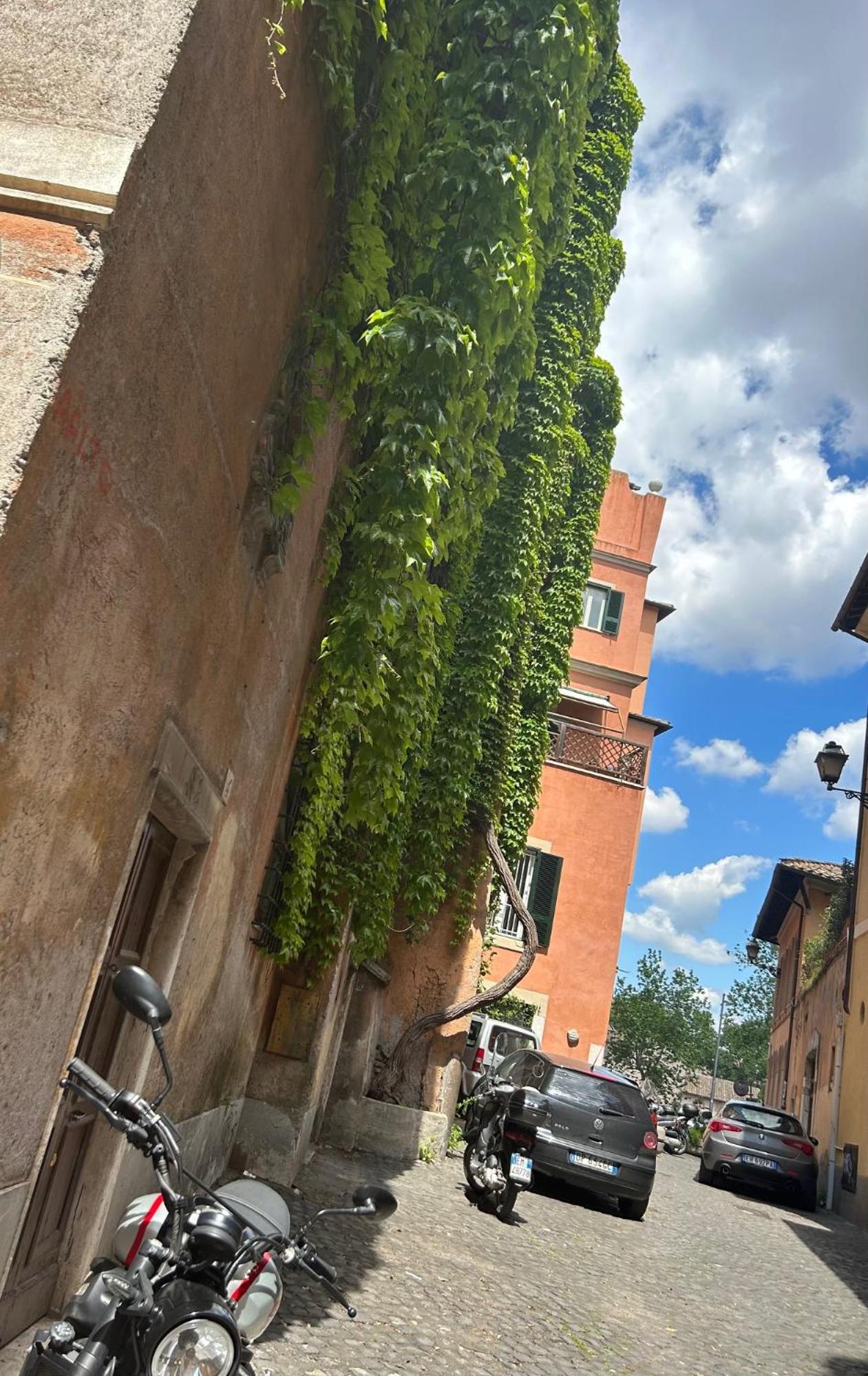 Garden House Trastevere ローマ エクステリア 写真