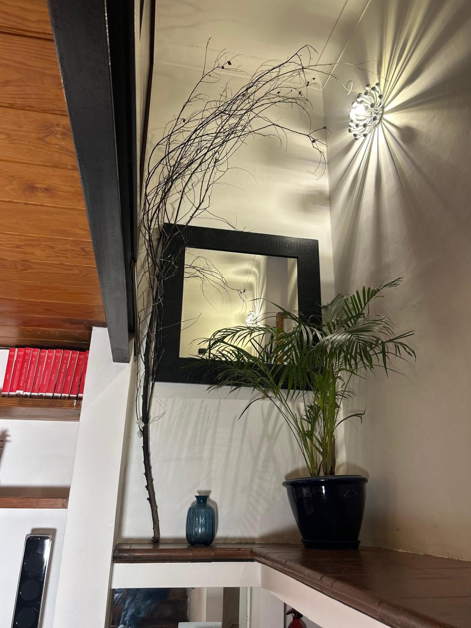 Garden House Trastevere ローマ エクステリア 写真